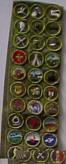 Merit badges arranged
on a wide (default) sash